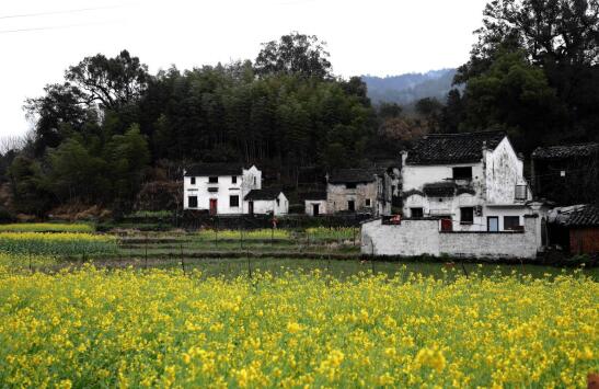 江西美麗鄉(xiāng)村建設(shè)助推全域旅游發(fā)展—中金普華產(chǎn)業(yè)研究院