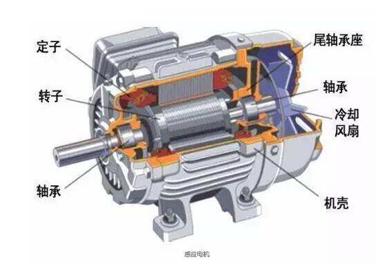 稀土永磁電機(jī)技術(shù)發(fā)展趨勢分析：高效節(jié)能機(jī)電一體化和高性能等