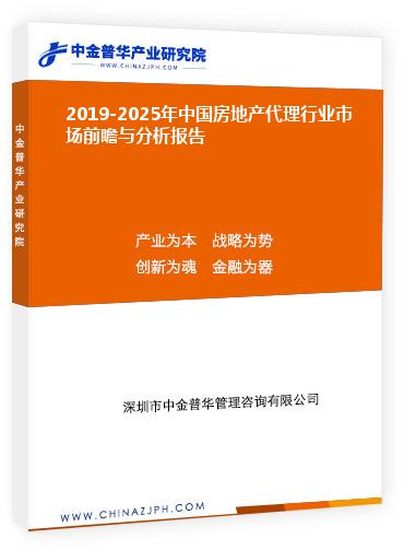 2019-2025年中國房地產(chǎn)代理行業(yè)市場前瞻與分析報告