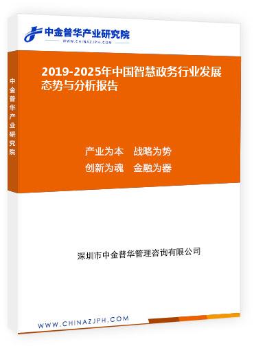 2019-2025年中國智慧政務行業(yè)發(fā)展態(tài)勢與分析報告