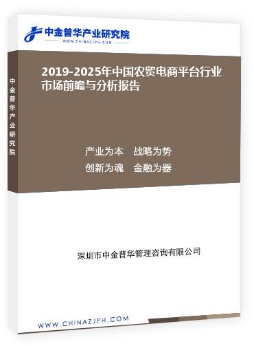 2019-2025年中國農(nóng)貿(mào)電商平臺行業(yè)市場前瞻與分析報(bào)告