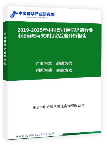 2019-2025年中國(guó)集群通信終端行業(yè)市場(chǎng)前瞻與未來(lái)投資戰(zhàn)略分析報(bào)告