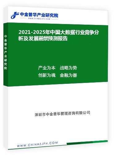 2021-2025年中國大數(shù)據(jù)行業(yè)競爭分析及發(fā)展前景預測報告