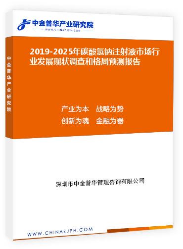 2019-2025年碳酸氫鈉注射液市場行業(yè)發(fā)展現(xiàn)狀調(diào)查和格局預測報告