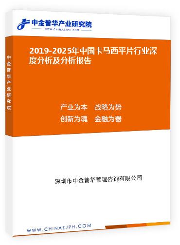 2019-2025年中國(guó)卡馬西平片行業(yè)深度分析及分析報(bào)告