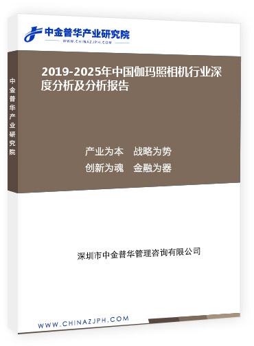 2019-2025年中國伽瑪照相機行業(yè)深度分析及分析報告