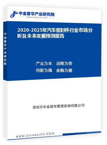 2020-2025年汽車密封件行業(yè)市場分析及未來發(fā)展預(yù)測報告