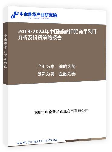 2019-2024年中國硝酸鉀肥競爭對手分析及投資策略報告