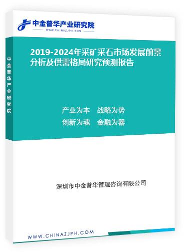 2019-2024年采礦采石市場發(fā)展前景分析及供需格局研究預測報告