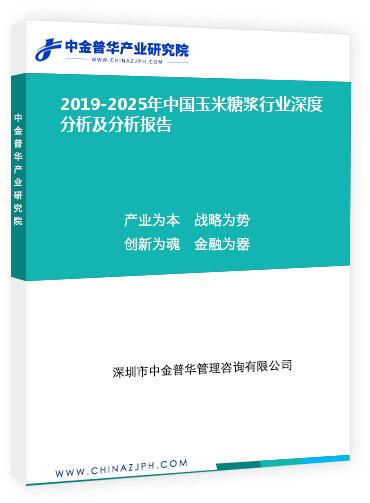 2019-2025年中國玉米糖漿行業(yè)深度分析及分析報(bào)告