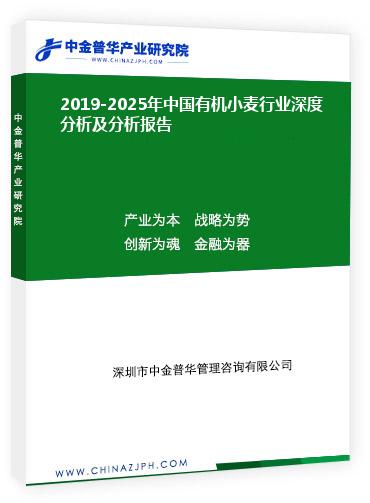 2019-2025年中國有機小麥行業(yè)深度分析及分析報告