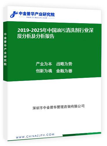 2019-2025年中國油污清洗劑行業(yè)深度分析及分析報告