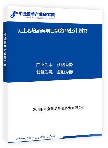 無土栽培蔬萊項目融資商業(yè)計劃書