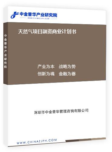 天然氣項目融資商業(yè)計劃書