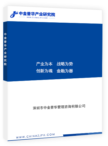 2020-2025年中國城軌車輛供電行業(yè)市場前瞻與未來投資戰(zhàn)略分析報告